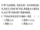 初中語文新人教部編版七年級下冊第三單元10 阿長與《山海經》 作業(yè)課件（2025春）