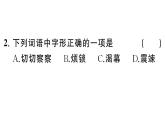 初中語文新人教部編版七年級下冊第三單元10 阿長與《山海經》 作業(yè)課件（2025春）