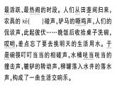 初中語(yǔ)文新人教部編版七年級(jí)下冊(cè)第三單元12 臺(tái) 階 作業(yè)課件（2025春）