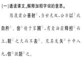 初中语文新人教部编版七年级下册古诗文三《卖油翁》 作业课件（2025春）