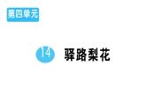 初中語文新人教部編版七年級下冊第四單元14 驛路梨花 作業(yè)課件2025春