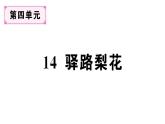 初中語文新人教部編版七年級下冊第四單元14 驛路梨花 作業(yè)課件（2025春）