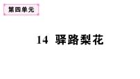 语文人教部编版（2024）驿路梨花作业ppt课件