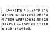 初中語文新人教部編版七年級下冊第四單元專題學(xué)習(xí)活動 孝親敬老，傳承家風(fēng) 作業(yè)課件（2025春）