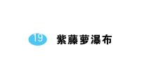 初中语文人教部编版（2024）七年级下册（2024）紫藤萝瀑布作业课件ppt