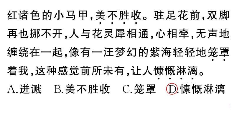 初中语文新人教部编版七年级下册第五单元19 紫藤萝瀑布 作业课件（2025春）第5页