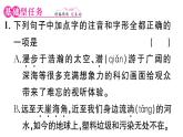 初中語(yǔ)文新人教部編版七年級(jí)下冊(cè)第六單元24 帶上她的眼睛 作業(yè)課件（2025春）