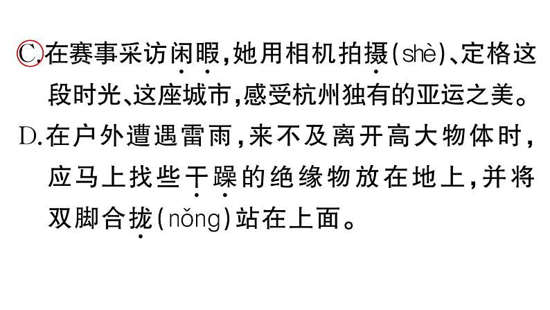 初中语文新人教部编版七年级下册第六单元24 带上她的眼睛 作业课件（2025春）第3页