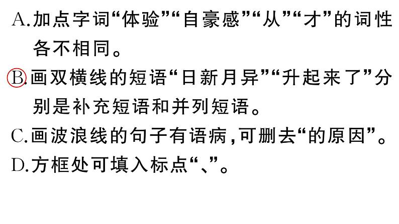 初中语文新人教部编版七年级下册第六单元24 带上她的眼睛 作业课件（2025春）第8页