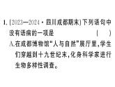 初中语文新人教部编版七年级下册期末专题三 病句、标点、语法 作业课件（2025春）