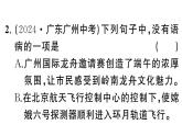 初中语文新人教部编版七年级下册期末专题三 病句、标点、语法 作业课件（2025春）