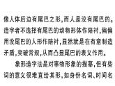初中语文新人教部编版七年级下册期末专题九 非连续性文本阅读 作业课件（2025春）