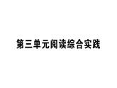 初中語文新人教部編版七年級(jí)下冊(cè)第三單元綜合閱讀實(shí)踐 作業(yè)課件（2025春）