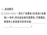 初中語文新人教部編版七年級(jí)下冊(cè)第六單元課外古詩詞誦讀 作業(yè)課件（2025春）