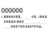 初中語文新人教部編版七年級下冊《鋼鐵是怎樣煉成的》閱讀計劃一：第一部 作業(yè)課件（2025春）
