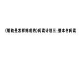 初中語文新人教部編版七年級下冊《鋼鐵是怎樣煉成的》閱讀計劃三：整本書閱讀 作業(yè)課件（2025春）