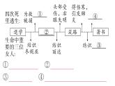 初中語文新人教部編版七年級下冊《鋼鐵是怎樣煉成的》閱讀計劃三：整本書閱讀 作業(yè)課件（2025春）