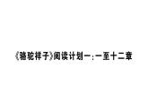 初中語文新人教部編版七年級下冊《駱駝祥子》閱讀計劃一：一至十二章 作業(yè)課件（2025春）