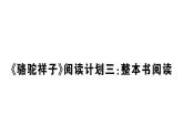 初中語文新人教部編版七年級下冊《駱駝祥子》閱讀計劃三：整本書閱讀 作業(yè)課件（2025春）