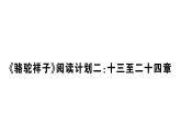 初中語文新人教部編版七年級下冊《駱駝祥子》閱讀計劃二：十三至二十四章 作業(yè)課件（2025春）