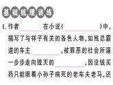 初中語文新人教部編版七年級下冊《駱駝祥子》閱讀計劃二：十三至二十四章 作業(yè)課件（2025春）