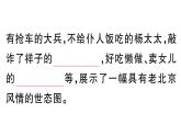 初中語文新人教部編版七年級下冊《駱駝祥子》閱讀計劃二：十三至二十四章 作業(yè)課件（2025春）