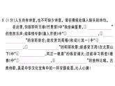 初中語(yǔ)文新人教部編版七年級(jí)下冊(cè)第一單元綜合訓(xùn)練 作業(yè)課件（2025春）