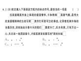 初中語文新人教部編版七年級(jí)下冊(cè)第二單元綜合訓(xùn)練 作業(yè)課件（2025春）