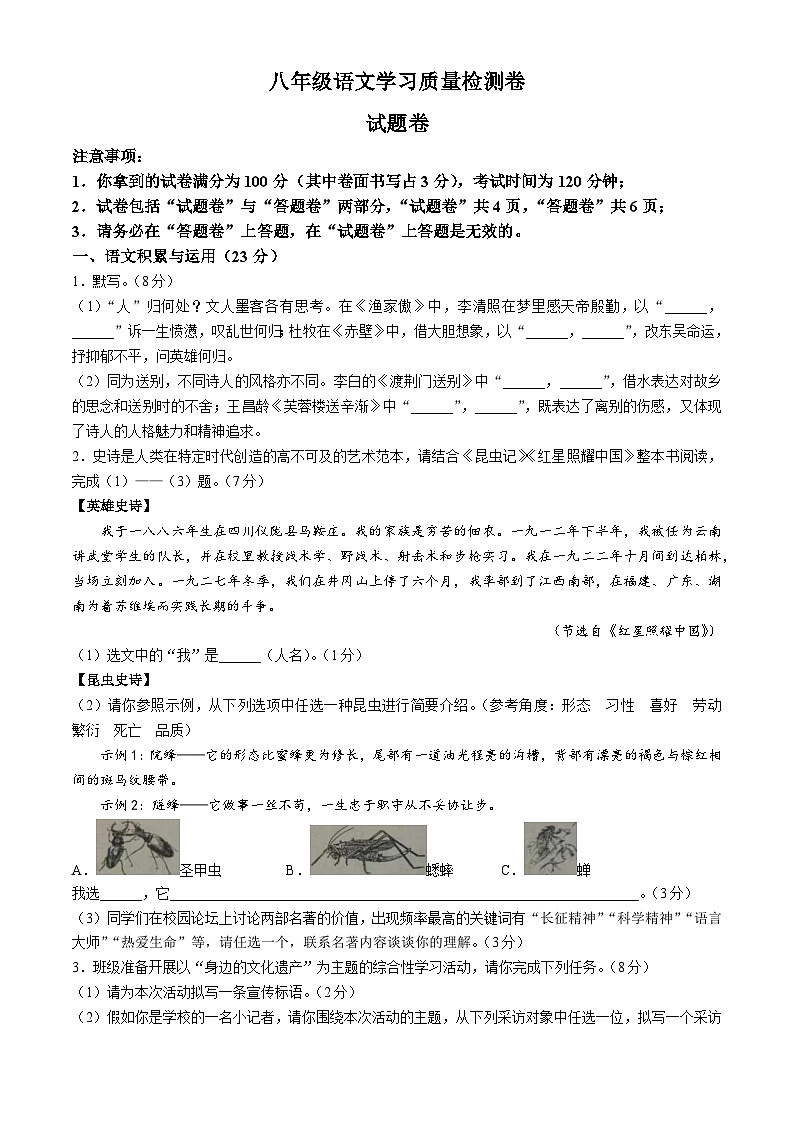 安徽省合肥市新站区2024-2025学年八年级上学期期末语文试题第1页
