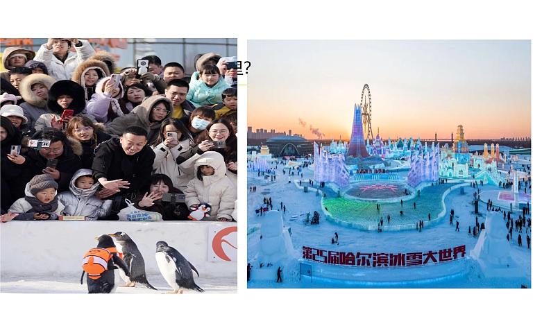 第8课《土地的誓言 》课件人教部编版（2024）语文七年级下册第3页