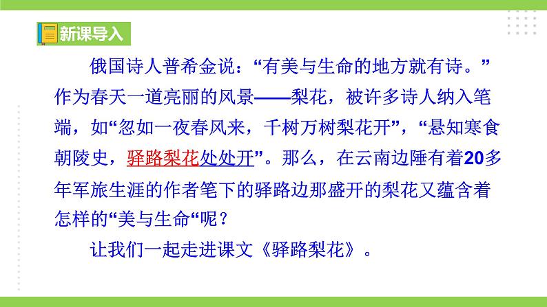 14《驿路梨花》【2022新课标】课件第1页