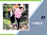 【任务型教学】修订版统编教材七下15《 青春之光》课件+教案+导学案（师生版）+同步测试（含答案）