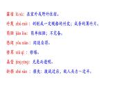 第四單元復習講義+課件