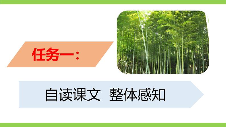 18《 井冈翠竹》【2022新课标】课件第4页