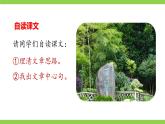 【任務(wù)型教學(xué)】修訂版統(tǒng)編教材七下18《 井岡翠竹》課件+教案+導(dǎo)學(xué)案（師生版）+同步測試（含答案）