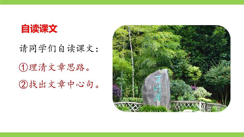 18《 井冈翠竹》【2022新课标】课件第5页