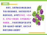 【任務(wù)型教學(xué)】修訂版統(tǒng)編教材七下19《 紫藤蘿瀑布》課件+教案+導(dǎo)學(xué)案（師生版）+同步測試（含答案）