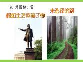 【任務(wù)型教學(xué)】修訂版統(tǒng)編教材七下20《 外國詩二首》課件+教案+導(dǎo)學(xué)案（師生版）+同步測試（含答案）
