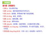 第五單元復(fù)習(xí)講義+課件
