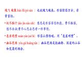 第五單元復(fù)習(xí)講義+課件