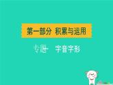 辽宁省2024中考语文第一部分积累与运用专题一字音字形课件