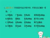 辽宁省2024中考语文第一部分积累与运用专题一字音字形课件