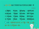 辽宁省2024中考语文第一部分积累与运用专题一字音字形课件