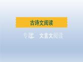 辽宁省2024中考语文课件古诗文阅读专题二文言文阅读