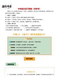 专题16 《童年》《鲁滨逊漂流记》--2025年中考语文一轮复习知识点精讲