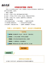专题21 古诗词鉴赏之”炼字“、表达技巧及情感把握--2025年中考语文一轮复习知识点精讲