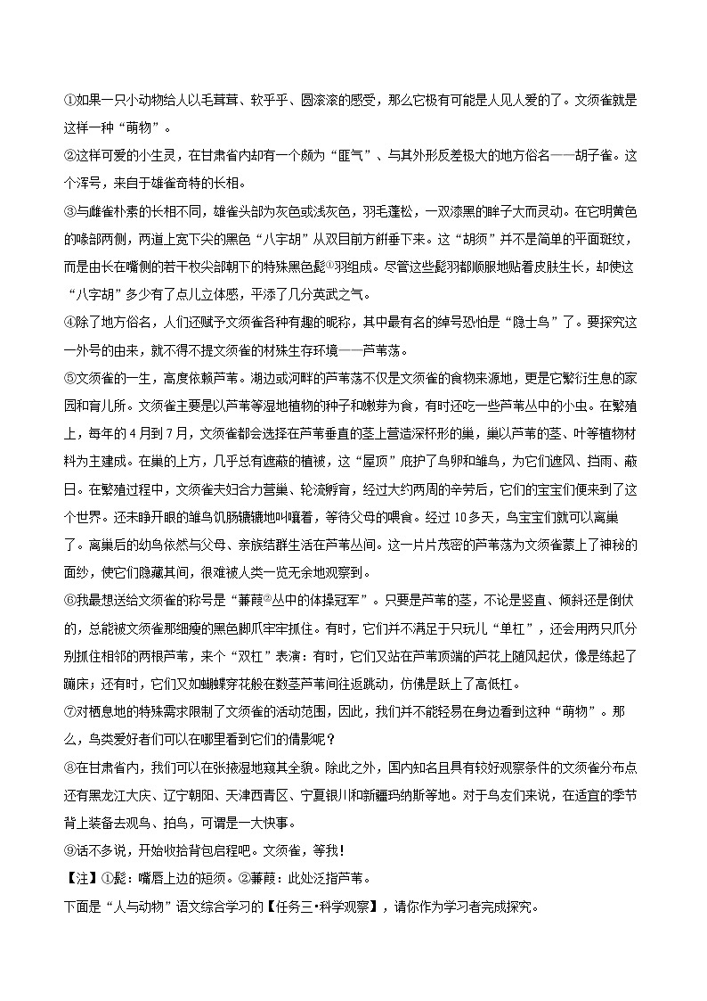 2024-2025学年上海市延安中学七年级（上）期末语文试卷（含详细答案解析）第2页
