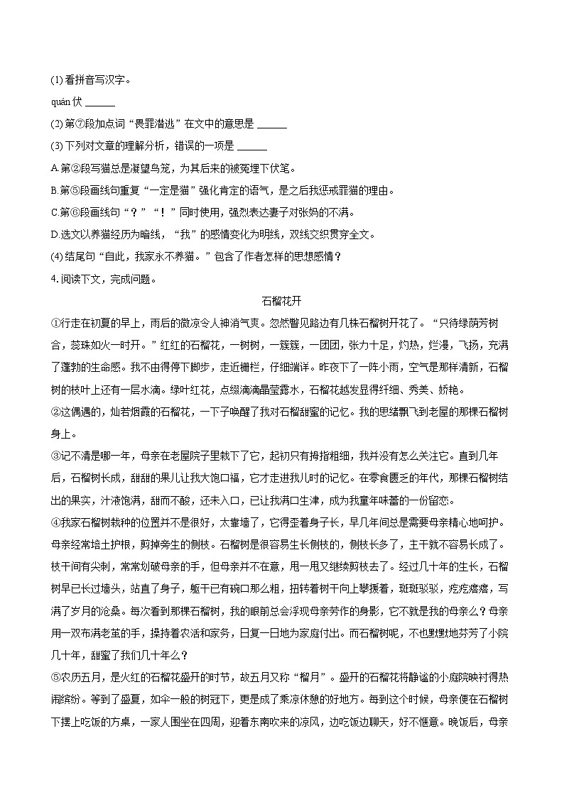 2024-2025学年上海市杨浦区七年级（上）期末语文试卷（含详细答案解析）第3页