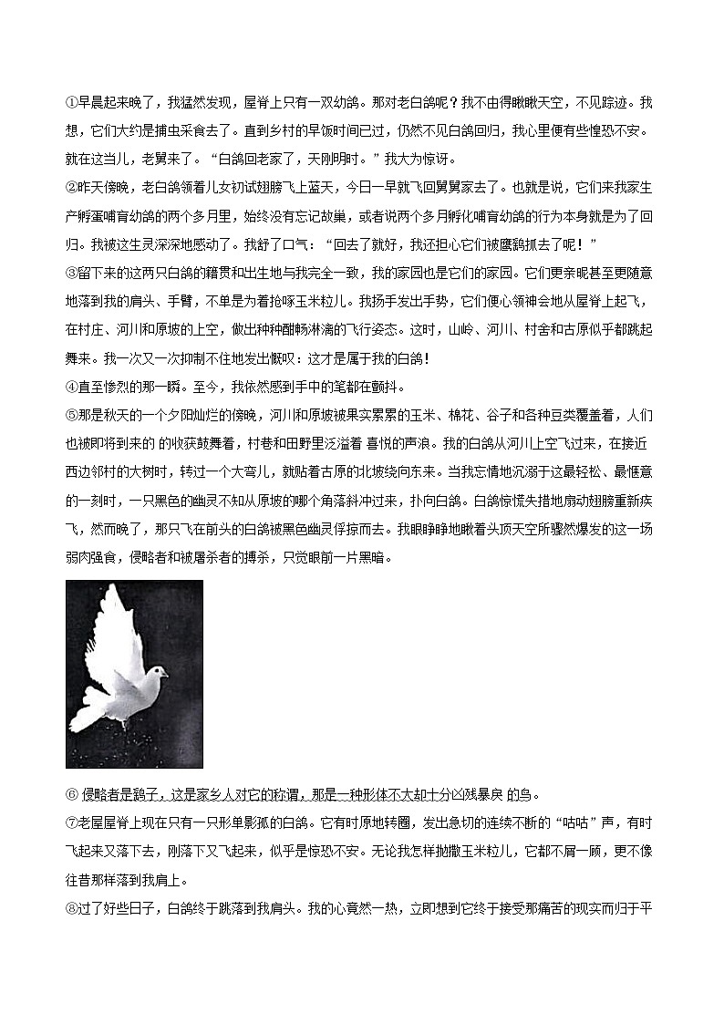 2024-2025学年山西省太原市七年级（上）期末语文试卷（含详细答案解析）第3页