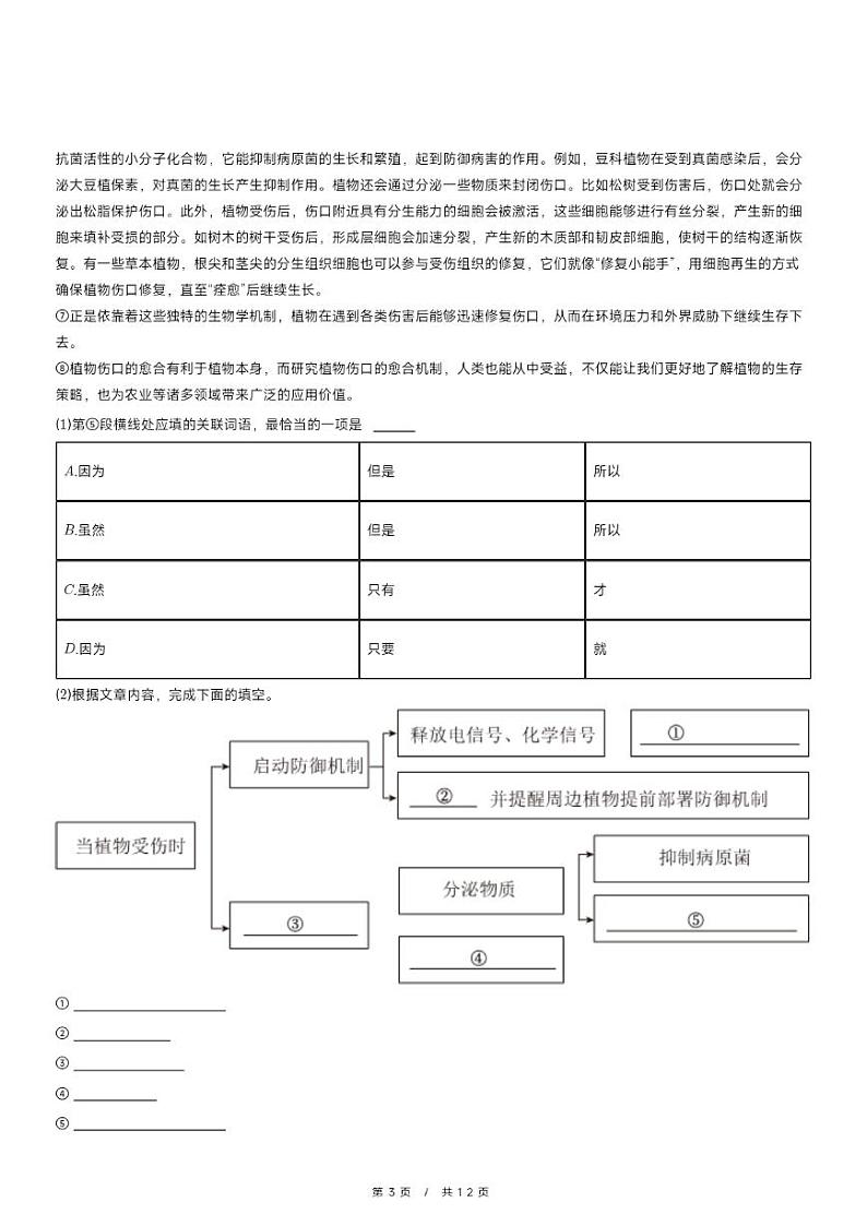 2025年上海市奉贤区中考语文一模试卷第3页
